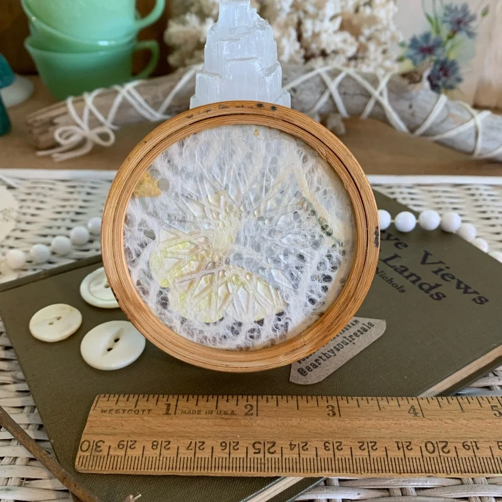 Vintage Butterfly Coaster 🦋 Unique Home Decor / Gift / Retro / Nature / Table - Picture 3 of 7